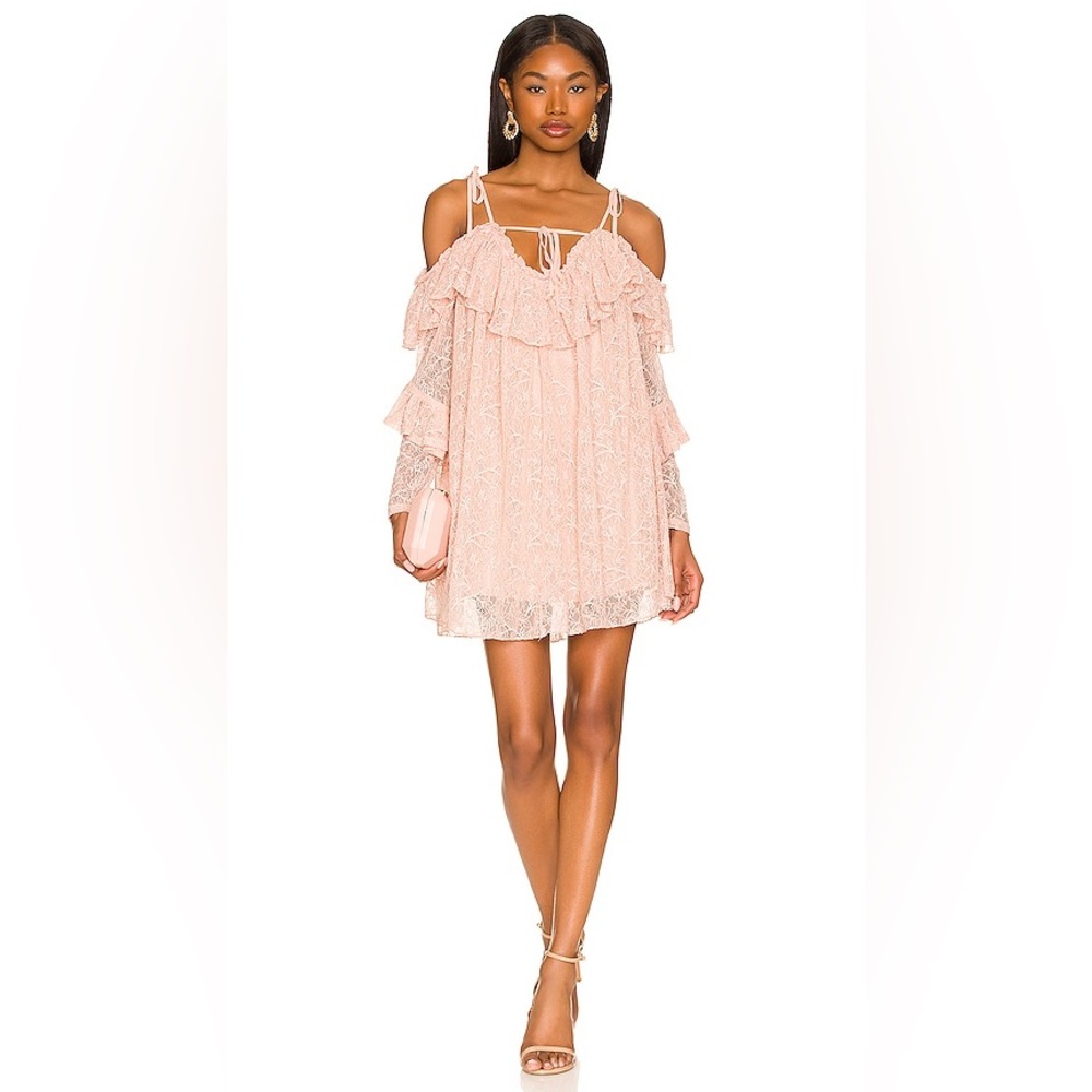 TulaRosa Solange Lace Mini Dress in Blush Size S NWT